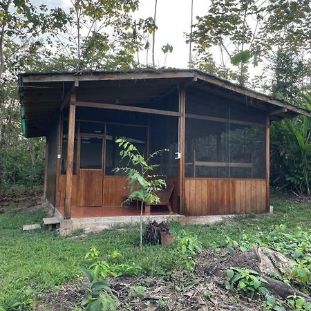 Secret Forest Station Villa Tambopata Kültér fotó